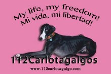 112 Carlota Galgos