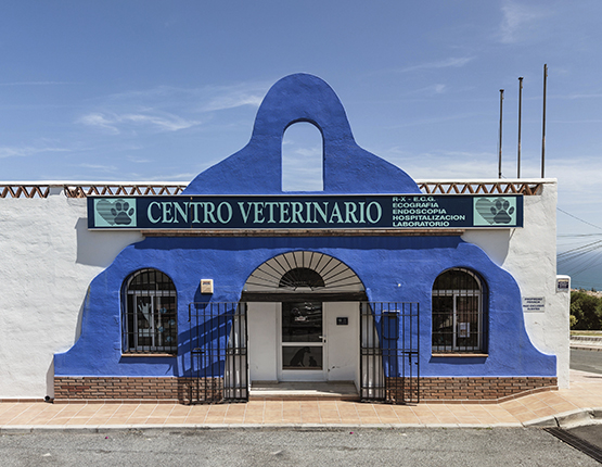 Clínica Veterinaria en Benalmádena